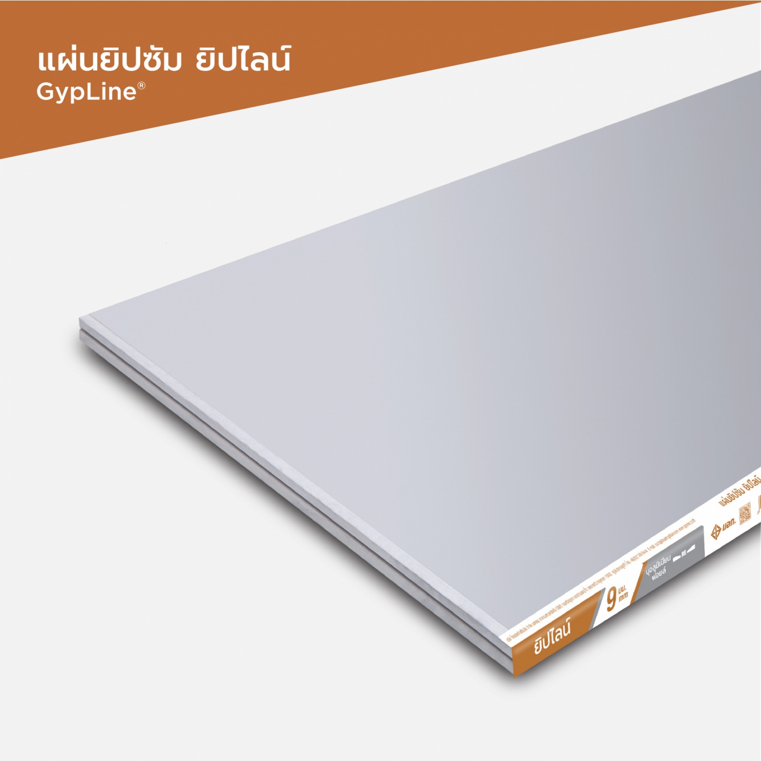 ยิปไลน์ ยิปซัมบอร์ด ชนิดฟอยล์ 9มม.x120x240 ซม. ขอบลาด