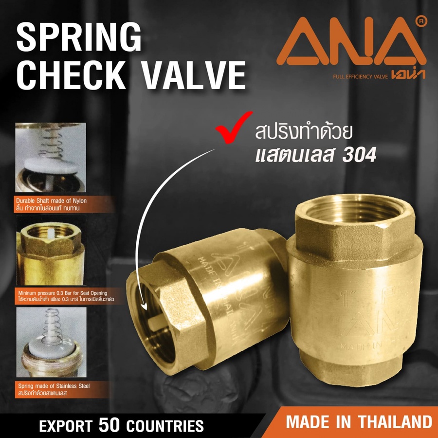ANA เช็ควาล์วสปริงทองเหลือง 2 1/2" สปริงสเตนเลส รุ่น BC