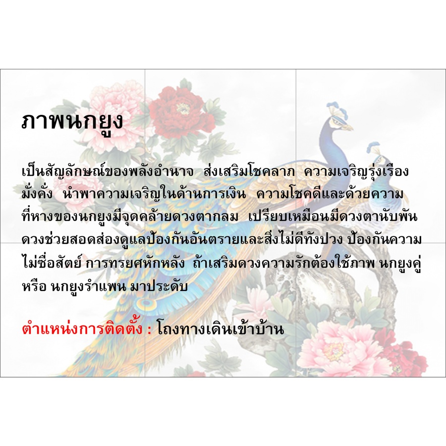ARTE กระเบื้องผนังภาพชุด 25X40 ซม. นกยูงคู่ (6P/SET)