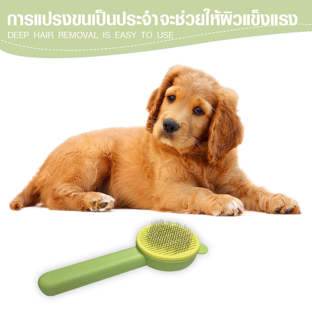 DUDUPETS หวีแปรงขนสัตว์ทรงหัวแมว รุ่นWQ18ขนาด4.6X8.5X20ซม.สีเขียว-เหลือง