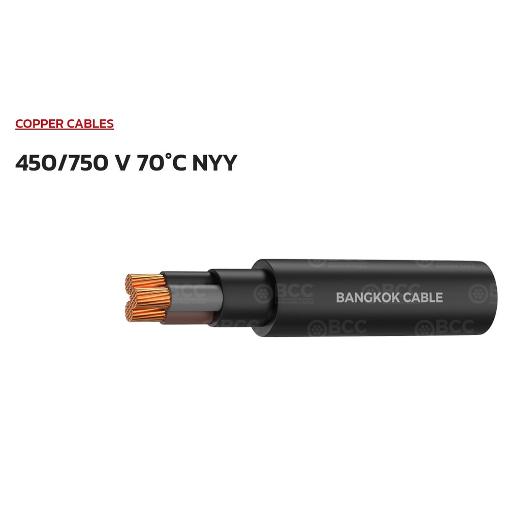BCC สายไฟ NYY 1x2.5 ตร.มม. 100 m. สีดำ