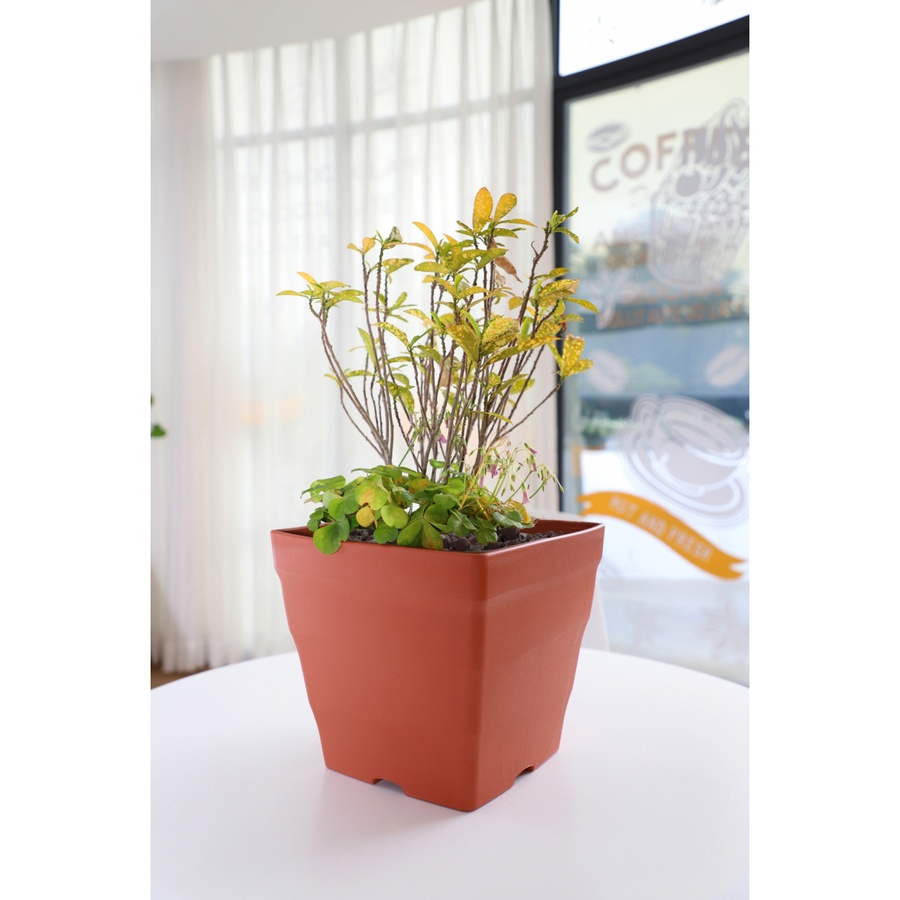 Tree‘O กระถางต้นไม้ทรงสี่เหลี่ยม รุ่น6PY015-RD ขนาด25x22ซม. (10นิ้ว) สีแดง