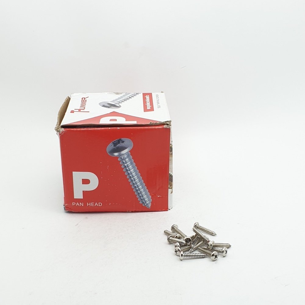 HUMMER สกรูเกลียวปล่อยหัว P-HM1010 ขนาด 10x1" (1000ตัว/กล่อง)