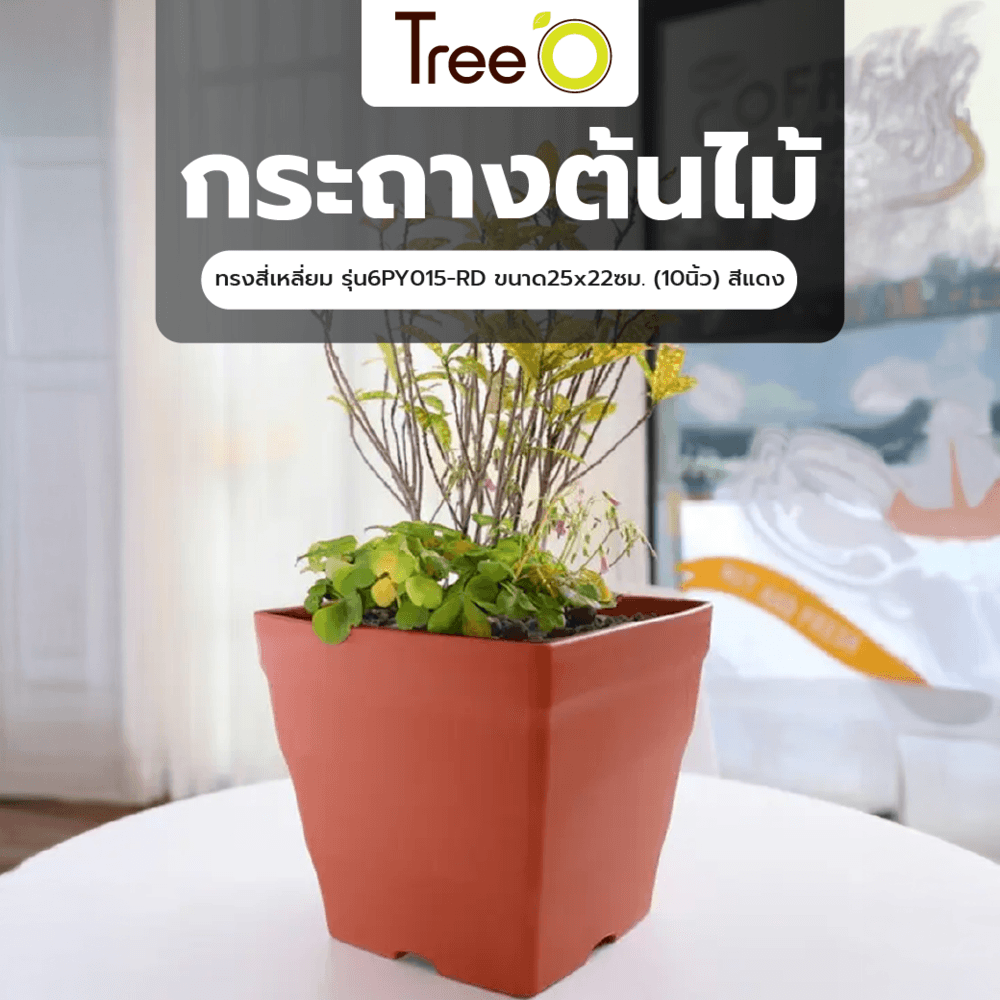 Tree‘O กระถางต้นไม้ทรงสี่เหลี่ยม รุ่น6PY015-RD ขนาด25x22ซม. (10นิ้ว) สีแดง
