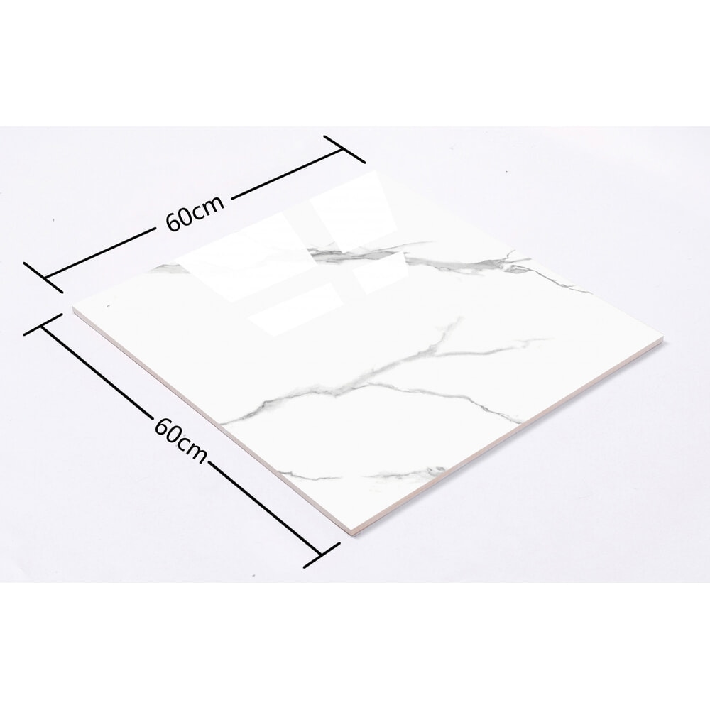 Marbella กระเบื้องพอร์ซเลน 60x60 ซม. รุ่น คาร่าจีน่า LT6619 Gloss (4P) Random