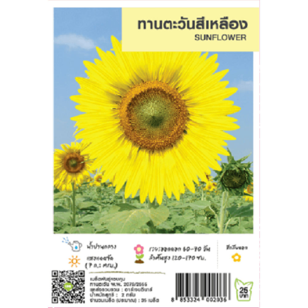 เจียไต๋ เมล็ดพันธุ์- ทานตะวันสีเหลือง