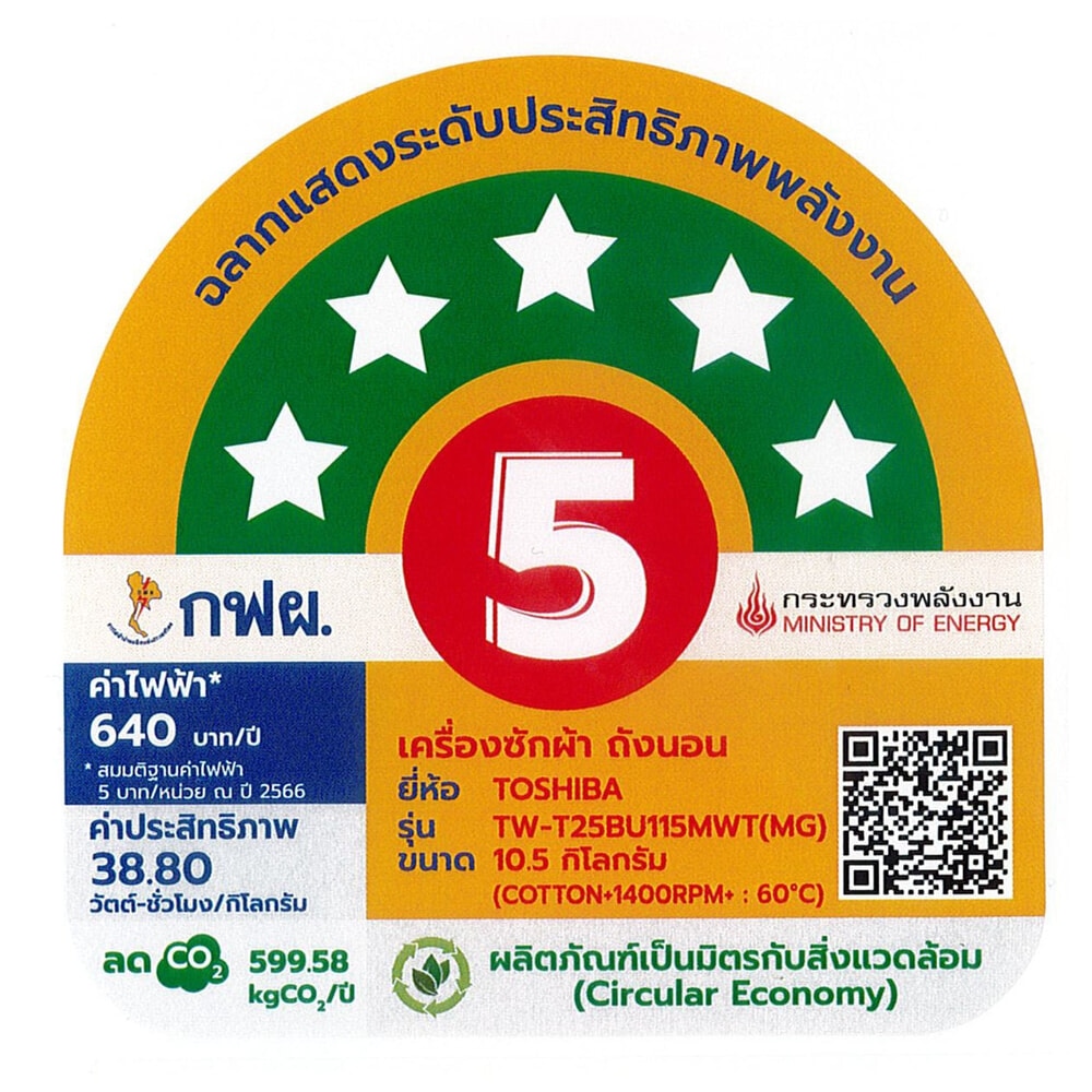 TOSHIBA เครื่องซักผ้าฝาหน้า 10.5 KG.TW-T25BU115MWT(MG) สีเทาเข้ม