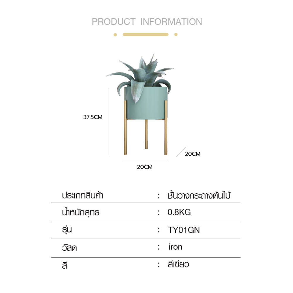 DELICATO ชั้นวางกระถางต้นไม้ รุ่น TY01GN  ขนาด 20x20x37.5ซม. สีเขียว