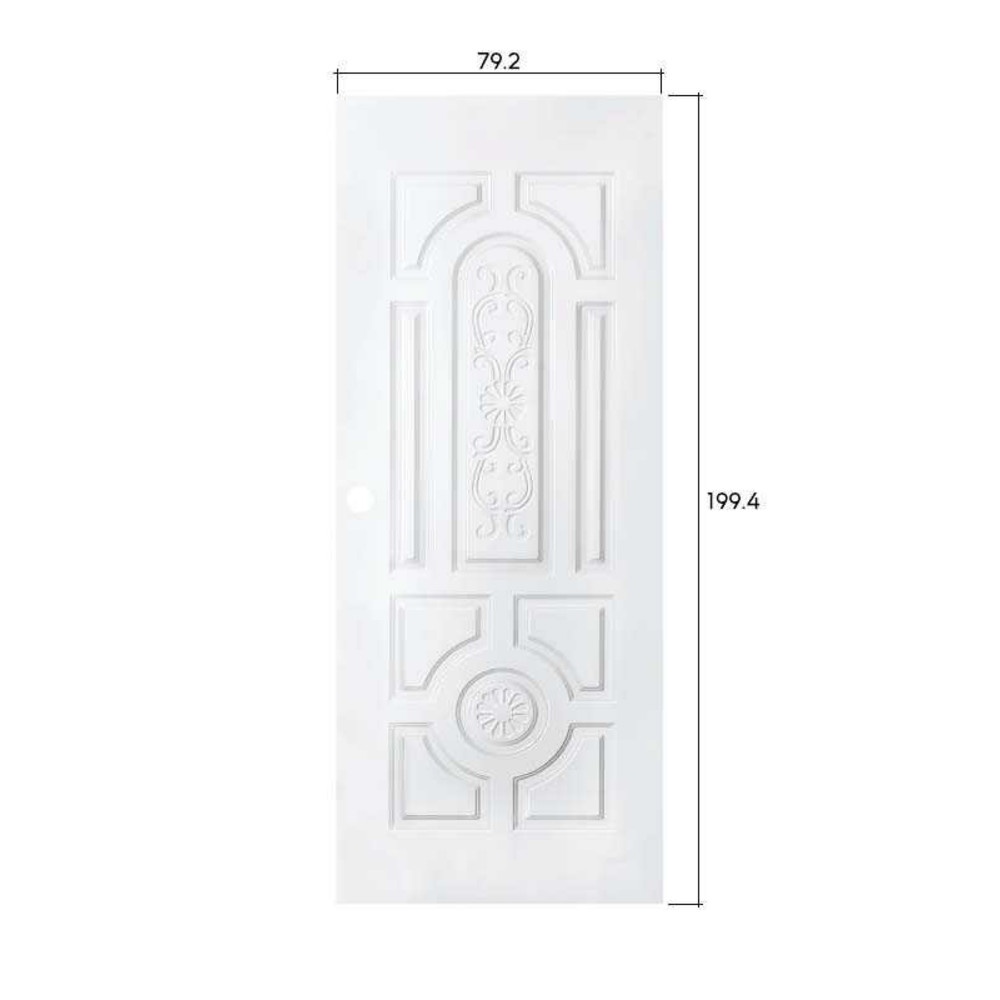 PROFESSIONAL DOOR บานประตูเหล็ก H1W 80x200ซม.