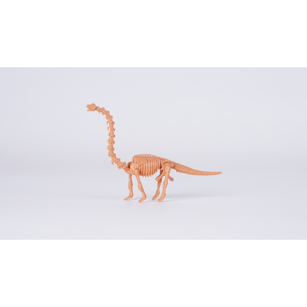 TOYS  กล่องสุ่มฟอสซิลไดโนเสาร์ขุดเหมือง