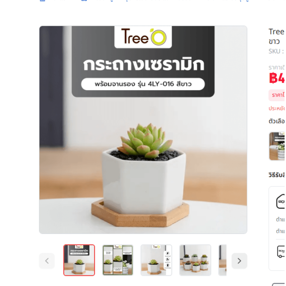 Delicato เก้าอี้พลาสติก 6022-A ขนาด 38.5×55.5×77ซม. สีดำ