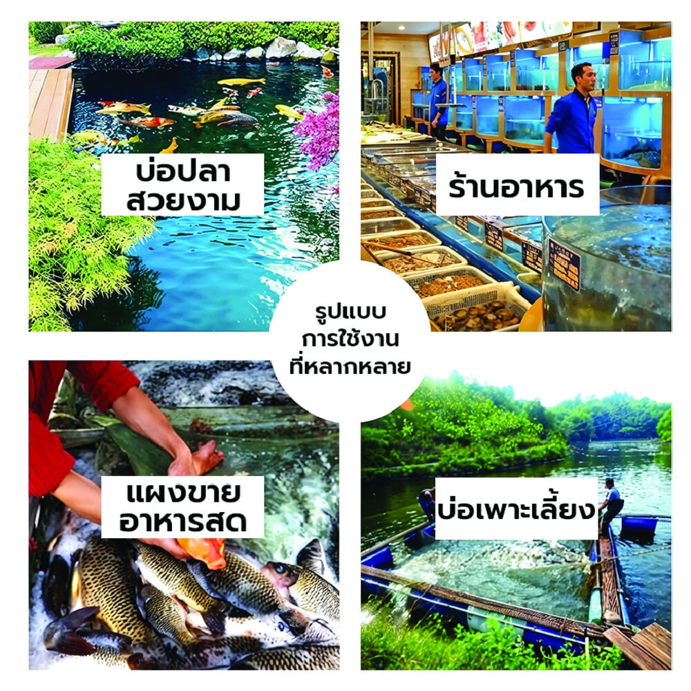 Boyu เครื่องเติมอากาศตู้ปลา รุ่น ACQ-003