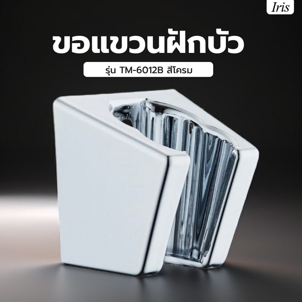 Iris ขอแขวนฝักบัว รุ่น TM-6012B สีโครม