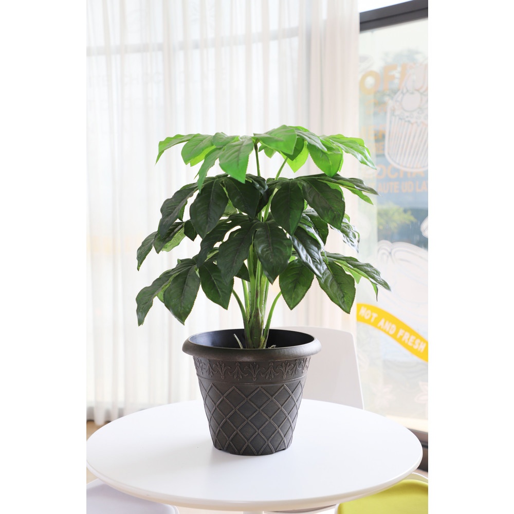 Tree’O กระถางต้นไม้ ขนาด 11นิ้ว รุ่น 6AMA033  สีเทา
