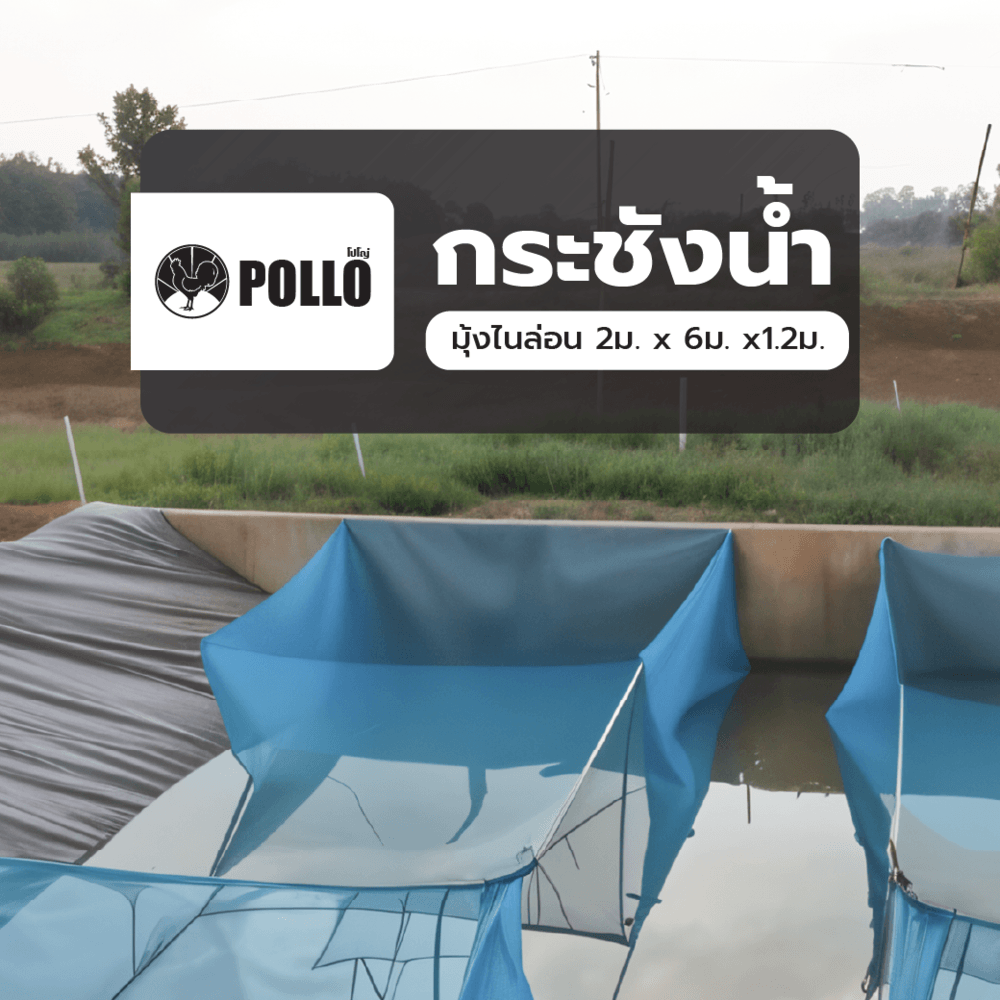 POLLO กระชังน้ำ มุ้งไนล่อน 2ม. x 6ม. x1.2ม.