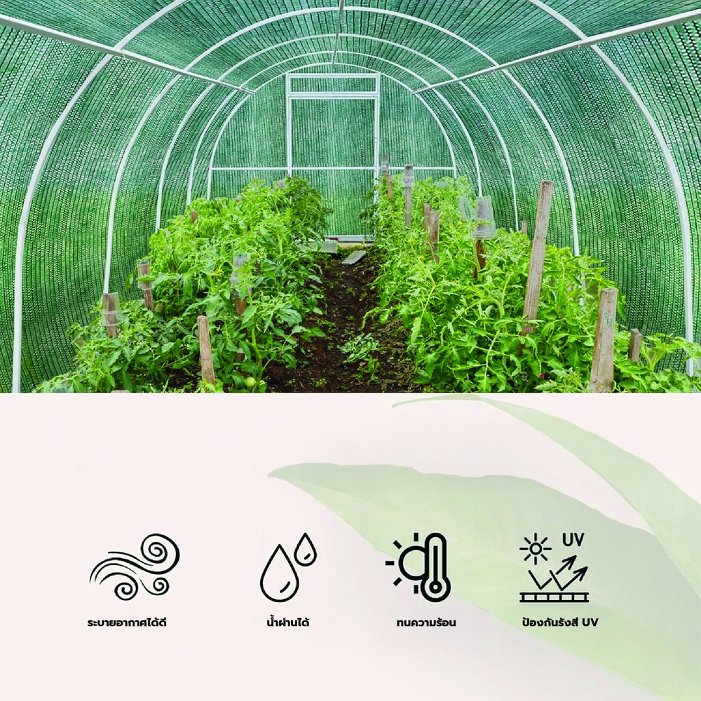 POLLO สแลน HDPE รุ่นSH1100-40  ขนาด2X100M 50%(หนึ่งเข็ม) สีเขียว