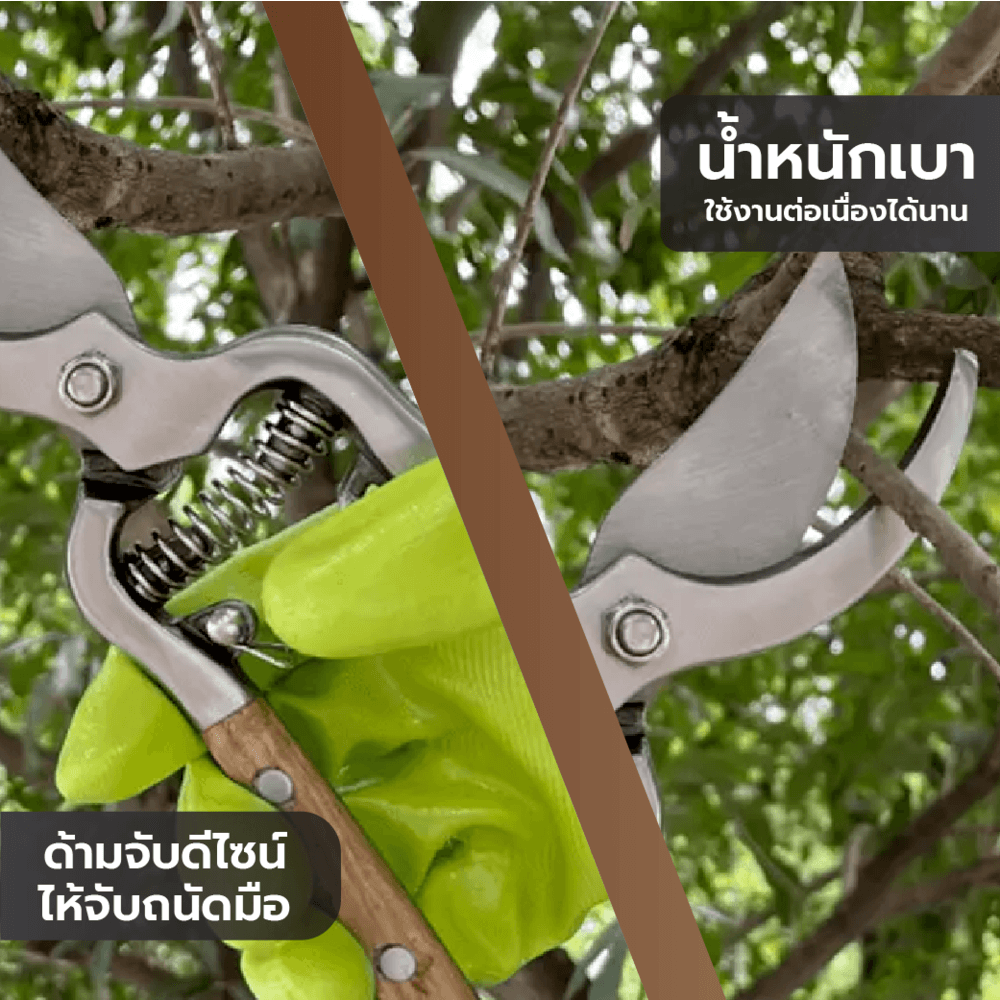 Tree’O กรรไกรตัดกิ่งสแตนเลสด้ามไม้ รุ่นGP2124ขนาด10นิ้ว สีไม้