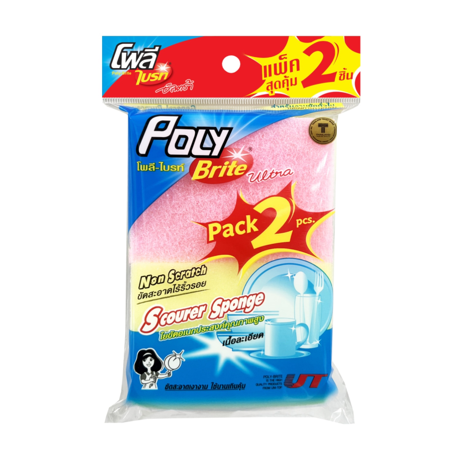 Poly-Brite ใยขัดอเนกประสงค์เนื้อละเอียด รุ่น 308-21D (แพ็ค2ชิ้น)