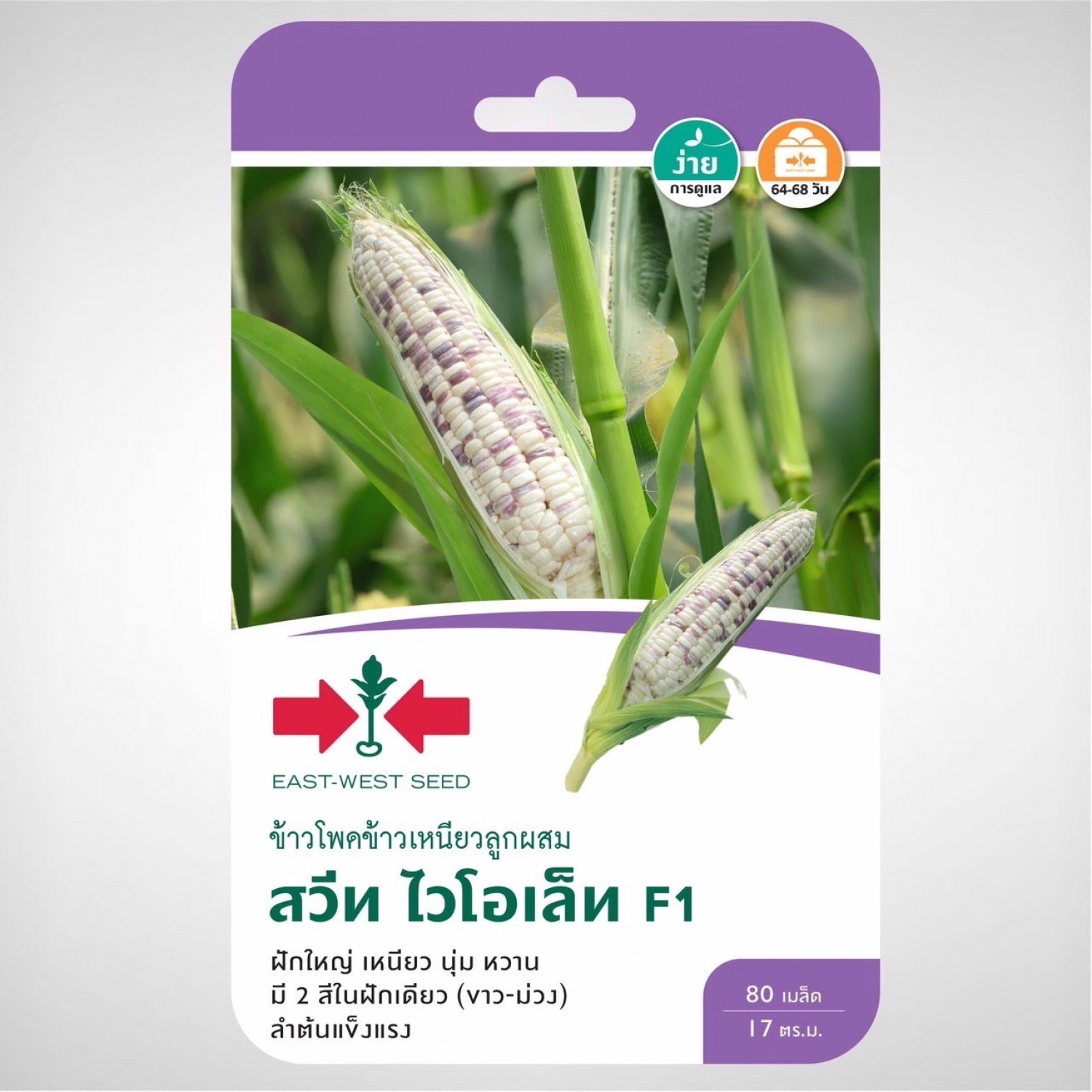 ศรแดง เมล็ดพันธุ์-ข้าวโพดข้าวเหนียวF1 สวีทไวโอเล็ท