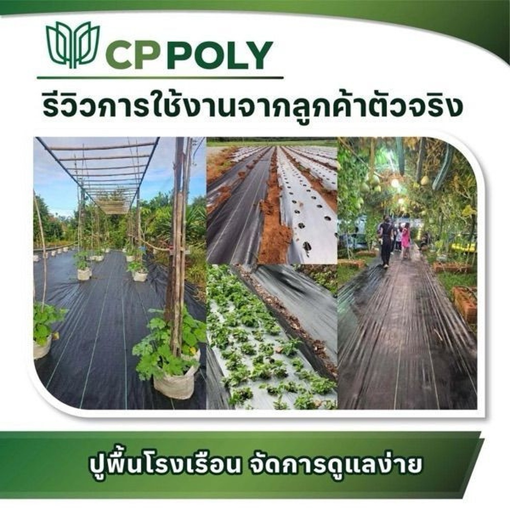 CP ผ้าพลาสติก คลุมวัชพืช 0.9x10M.