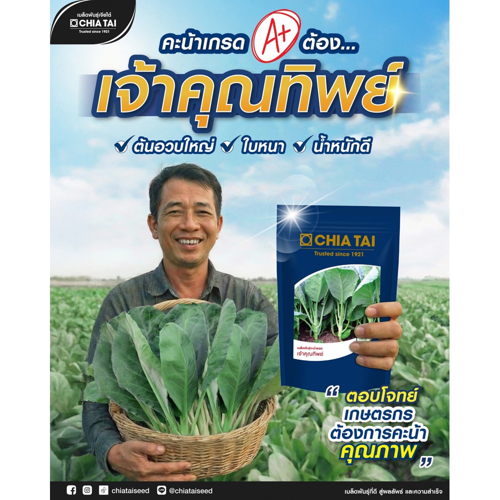 เจียไต๋ เมล็ดพันธุ์- คะน้า เจ้าคุณทิพย์ F1 Hybrid
