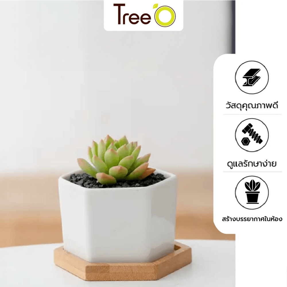 Tree’O กระถางเซรามิก พร้อมจานรอง รุ่น 4LY-016 สีขาว
