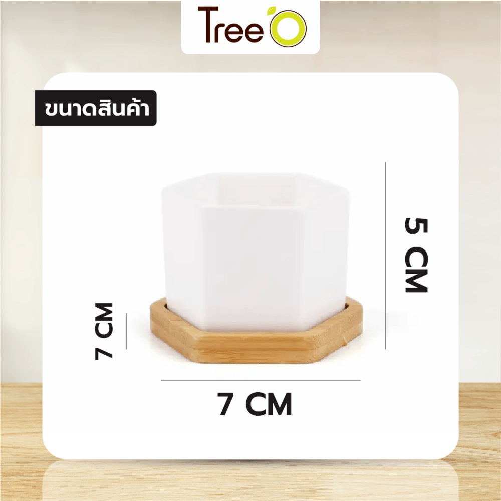 Tree’O กระถางเซรามิก พร้อมจานรอง รุ่น 4LY-016 สีขาว