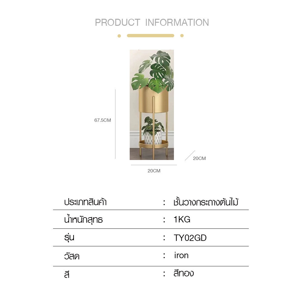 DELICATO ชั้นวางกระถางต้นไม้ รุ่น TY02GD   ขนาด 20x20x57.5ซม. สีทอง
