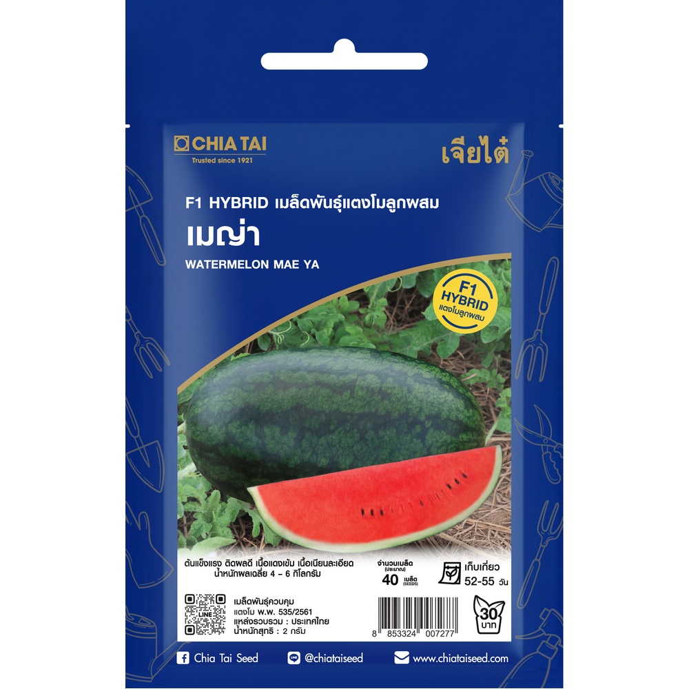 เจียไต๋ เมล็ดพันธุ์- แตงโมลูกผสม เมญ่า F1 Hybrid