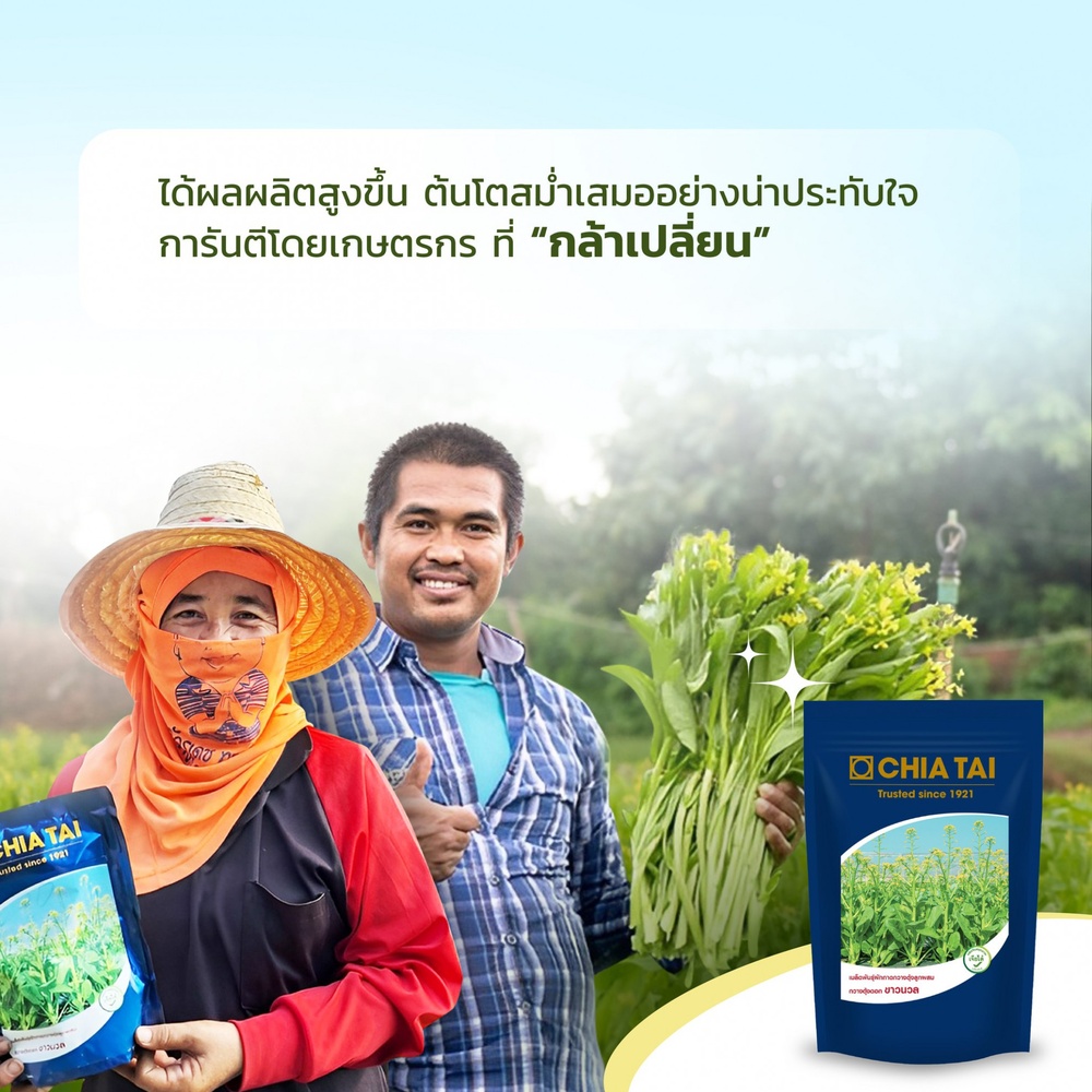 เจียไต๋ เมล็ดพันธุ์- ผักกาดกวางตุ้งลูกผสม กวางตุ้งดอก ขาวนวล F1 Hybrid