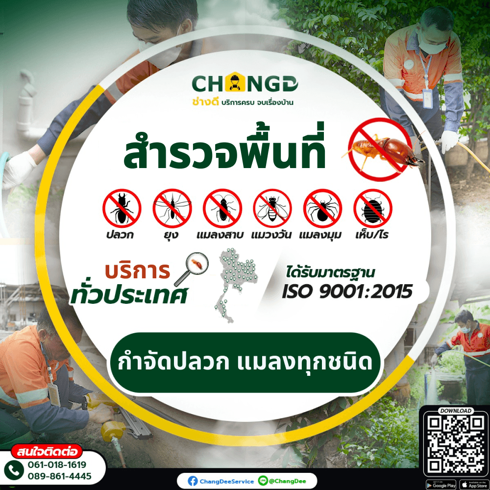 บริการสำรวจหน้างานกำจัดแมลง