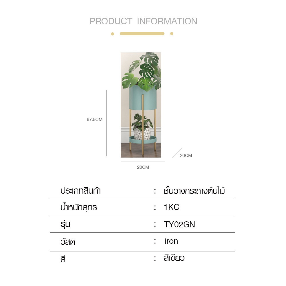 DELICATO ชั้นวางกระถางต้นไม้ รุ่น TY02GN  ขนาด 20x20x57.5ซม. สีเขียว