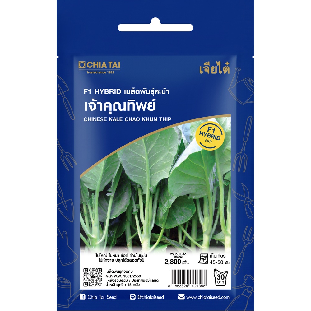 เจียไต๋ เมล็ดพันธุ์- คะน้า เจ้าคุณทิพย์ F1 Hybrid