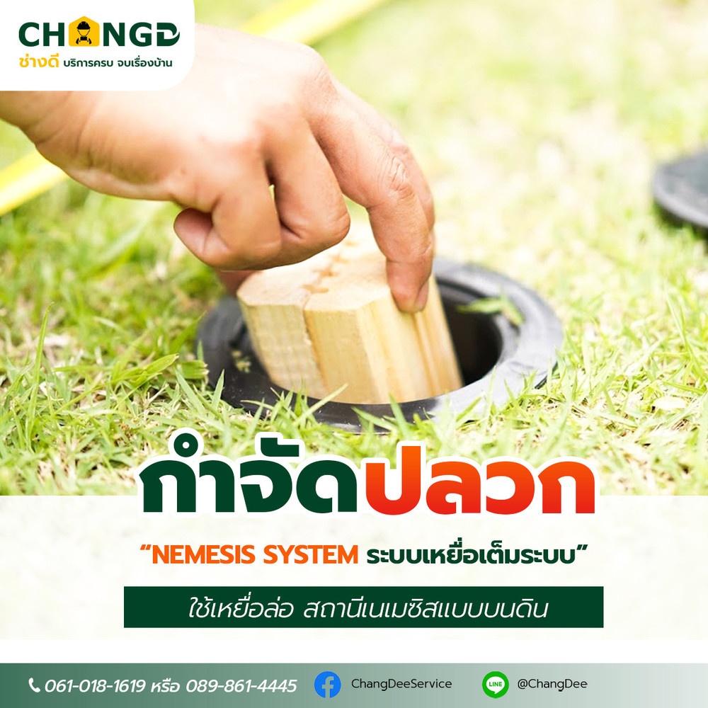 บริการกำจัดแมลงระบบเหยื่อเต็มระบบ รอบตัวบ้านอาคาร (ขนาดพื้นที่ไม่เกิน 29 เมตร/เหมา)