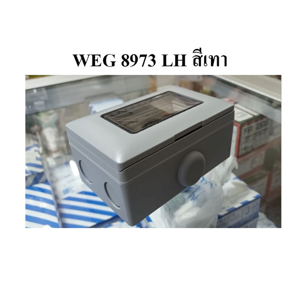 Panasonic ฝากันน้ำแนวนอน (แบบลอย) WEG 8973LH สีเทา