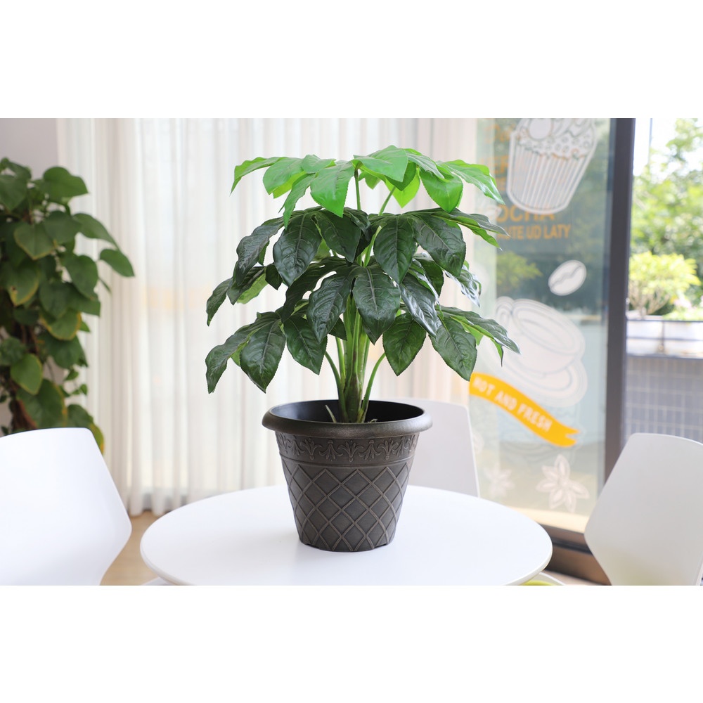 Tree’O กระถางต้นไม้ ขนาด 11นิ้ว รุ่น 6AMA033  สีเทา