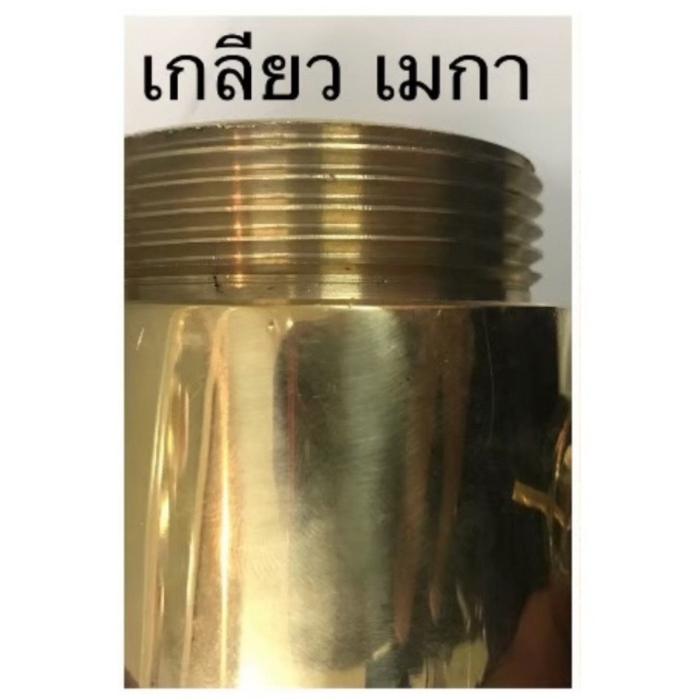 ข้อต่อสวมเร็ว NPT+ฝาปิดพร้อมโซ่ ชนิดทองเหลือง 2.5"