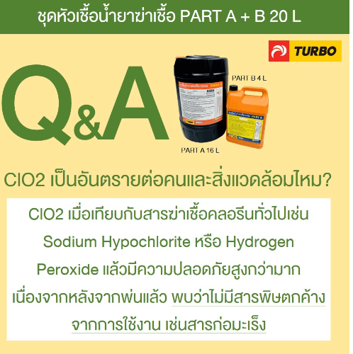 Gallery item 10