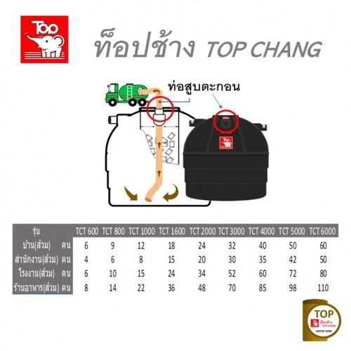 Gallery item 4