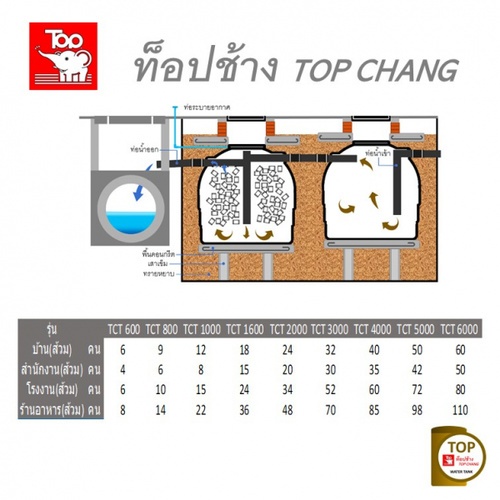 Gallery item 7