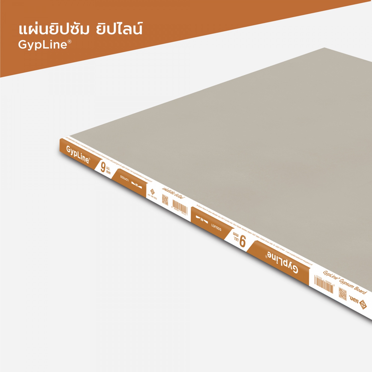 Gallery item 2