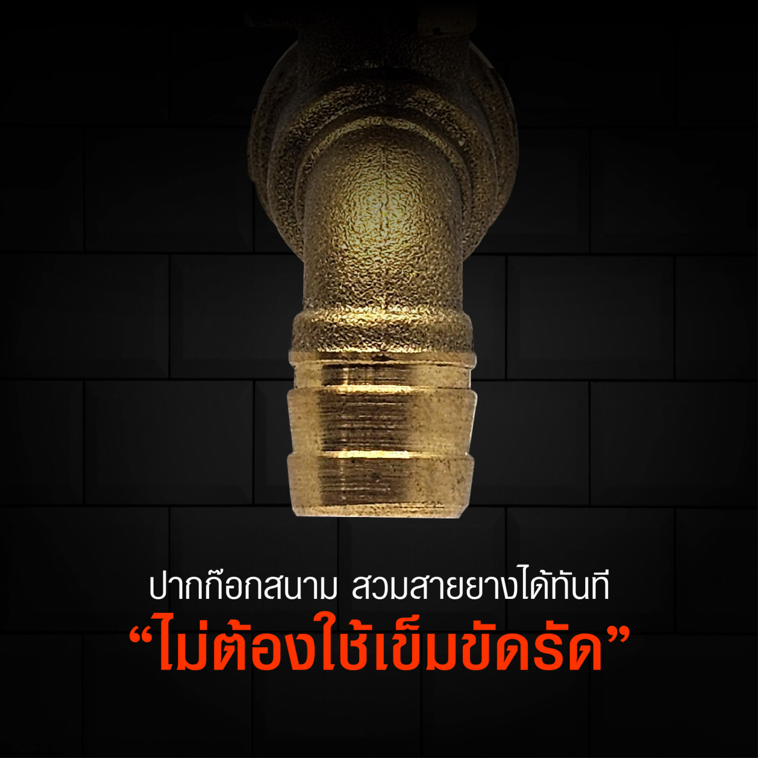 Gallery item 6