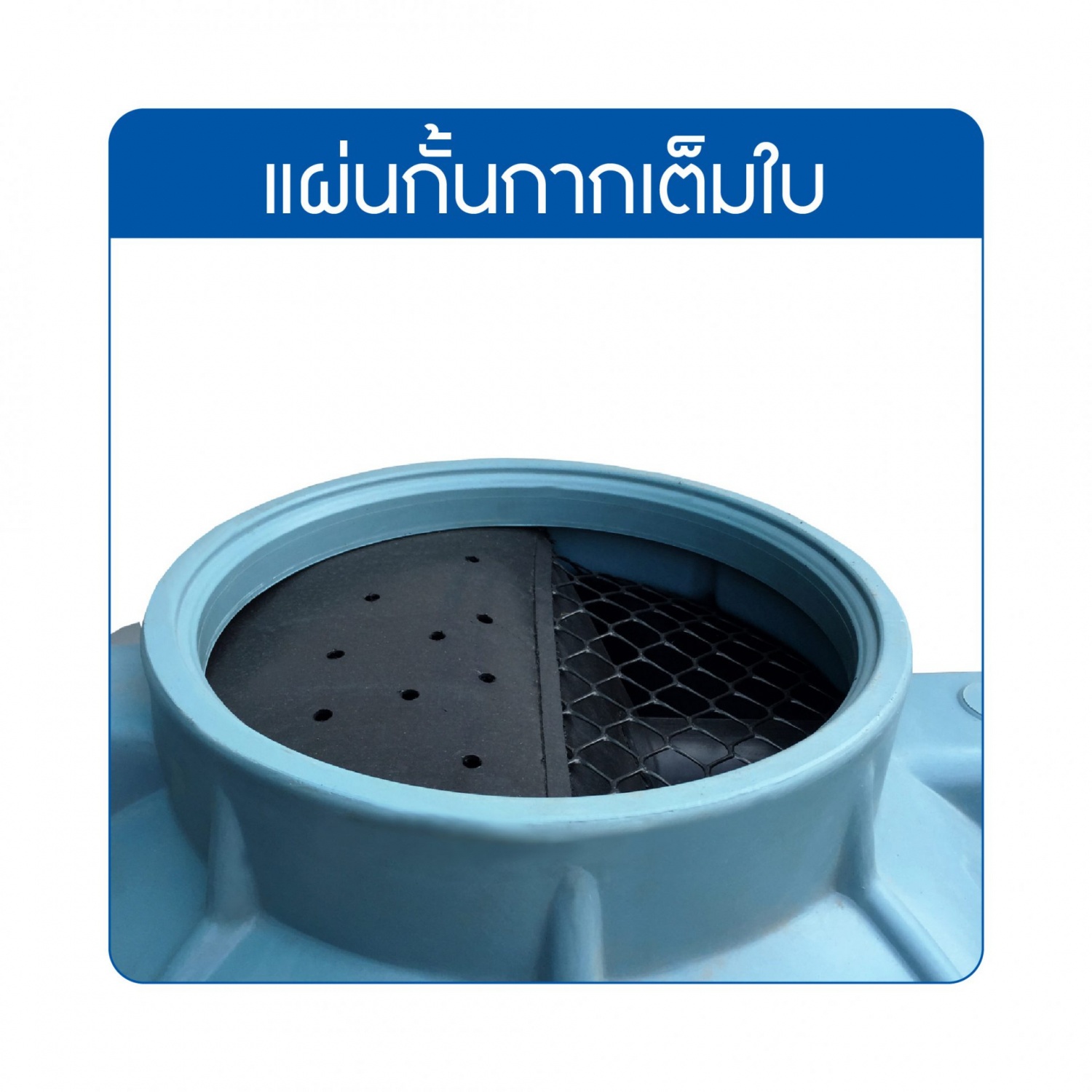 Gallery item 2