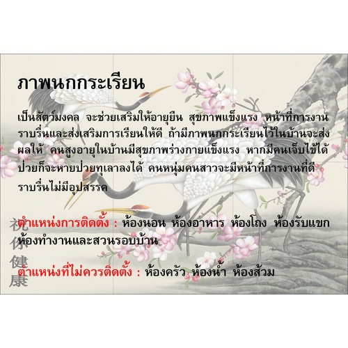 Gallery item 5