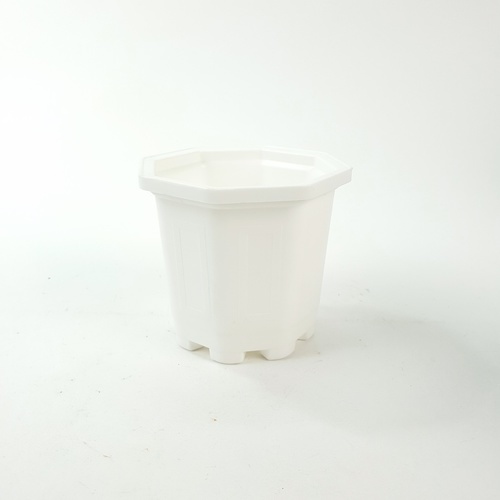 Gallery item 1
