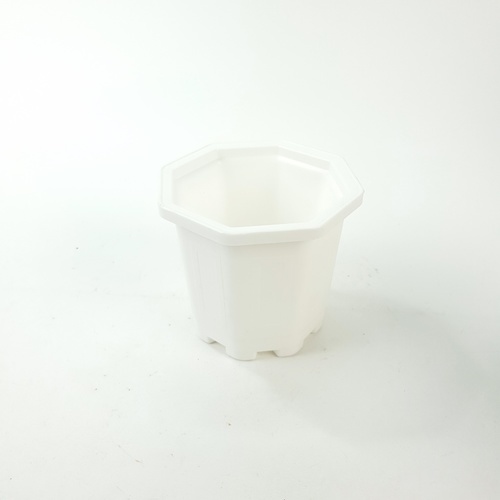 Gallery item 6