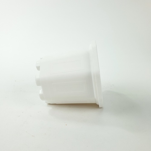 Gallery item 7