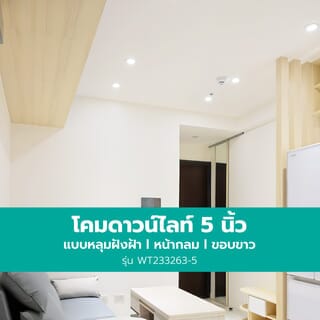 Gallery item 5