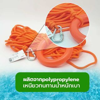 Gallery item 2