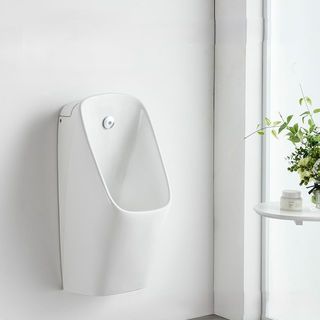 Gallery item 7
